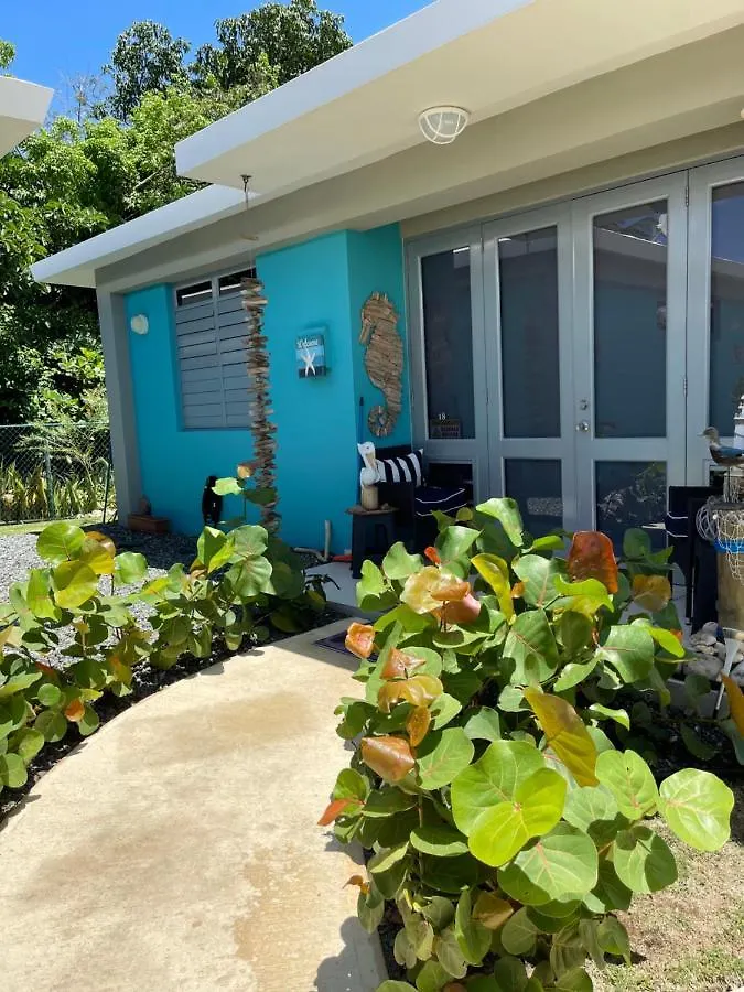 Atlantic Wave Villa Aguada Porto Rico