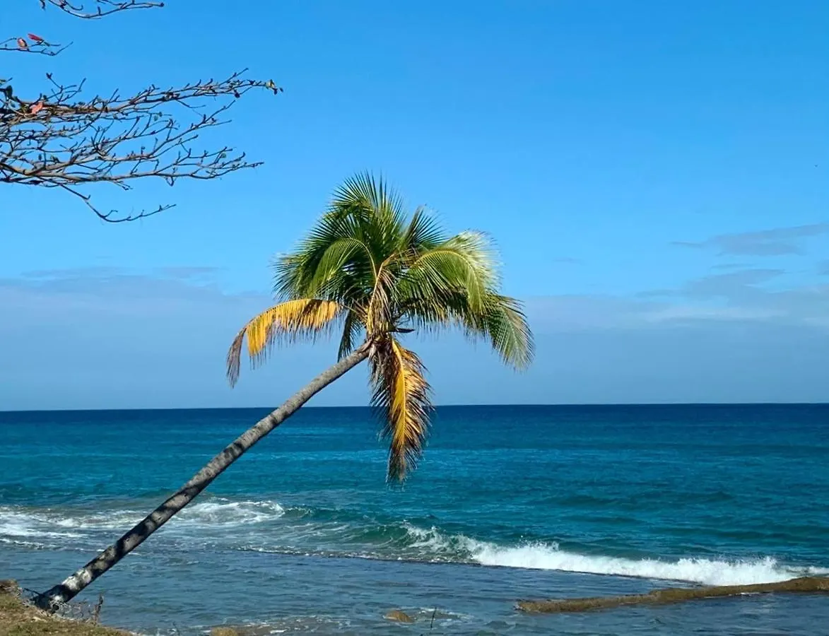Atlantic Wave Villa Aguada